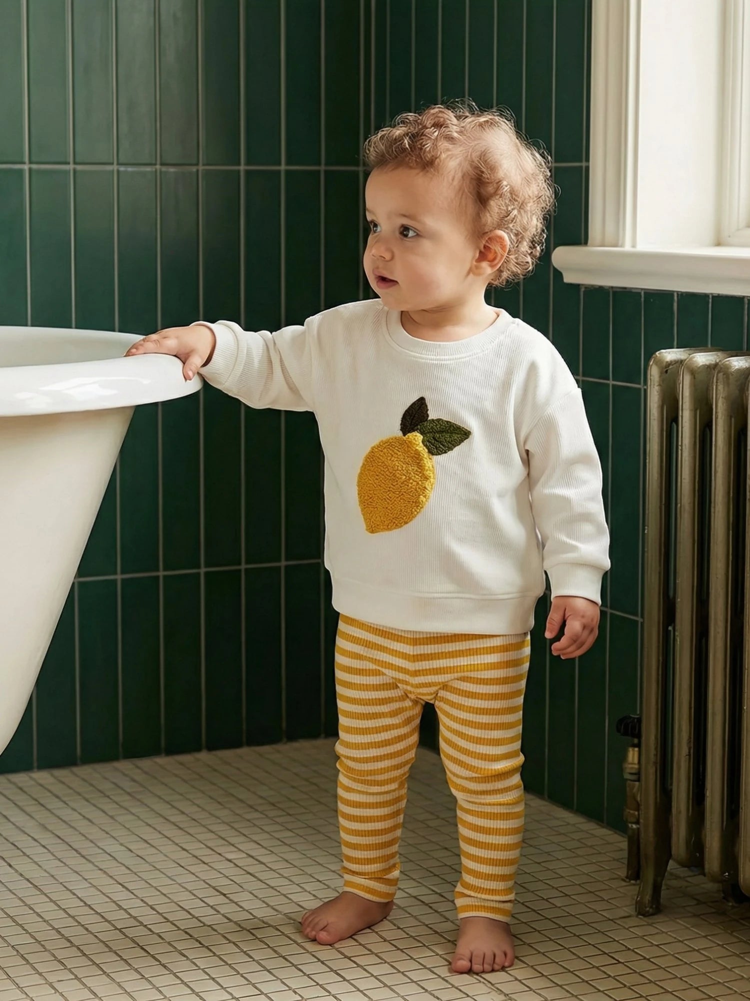 Vitamin-Packed & Comfortable Style for Men & Women | Sweatshirt & Pant Set with Fruit Embroidery